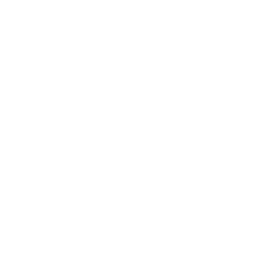 Mesquite Poteet Pirates logo